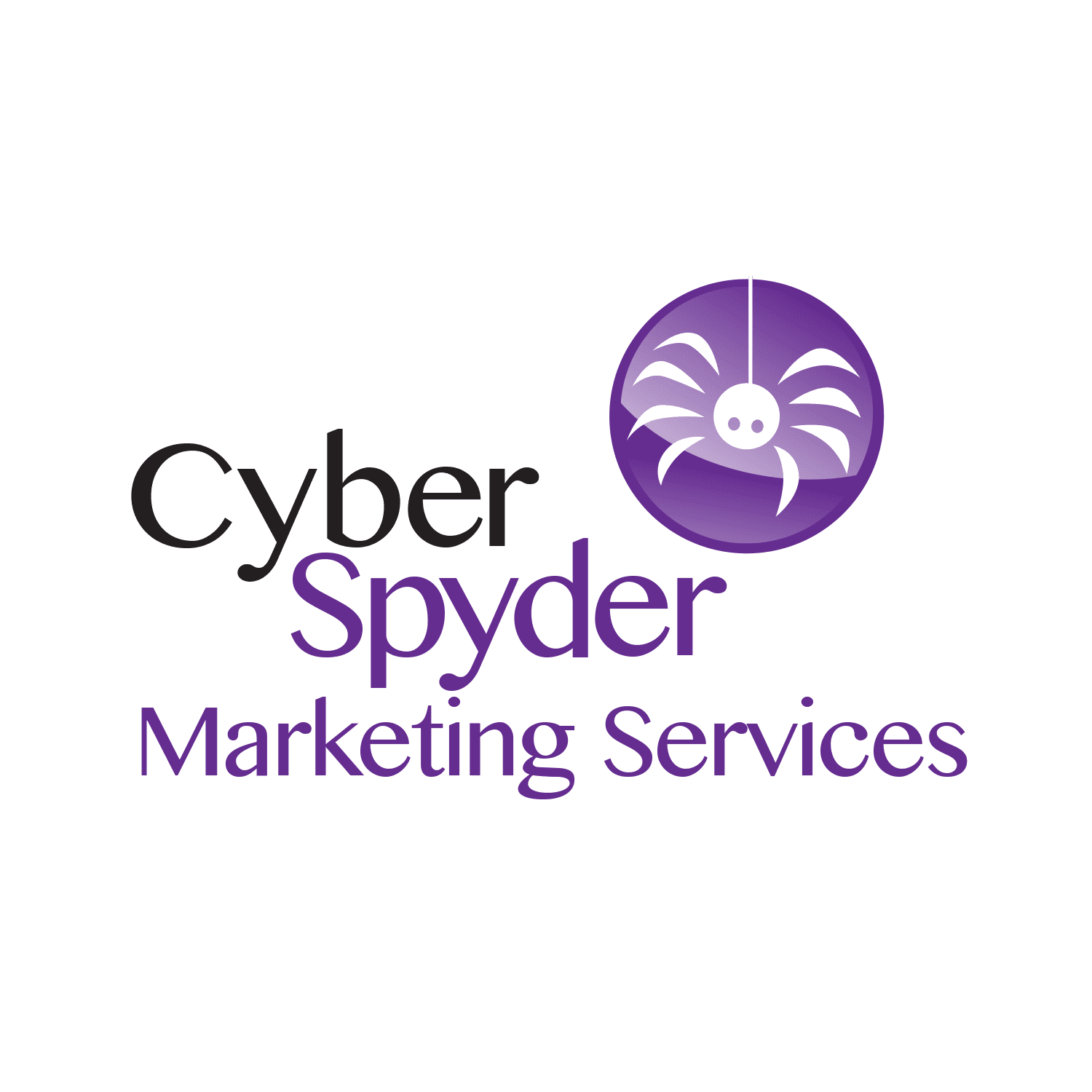 CyberSpyder Marketing Services